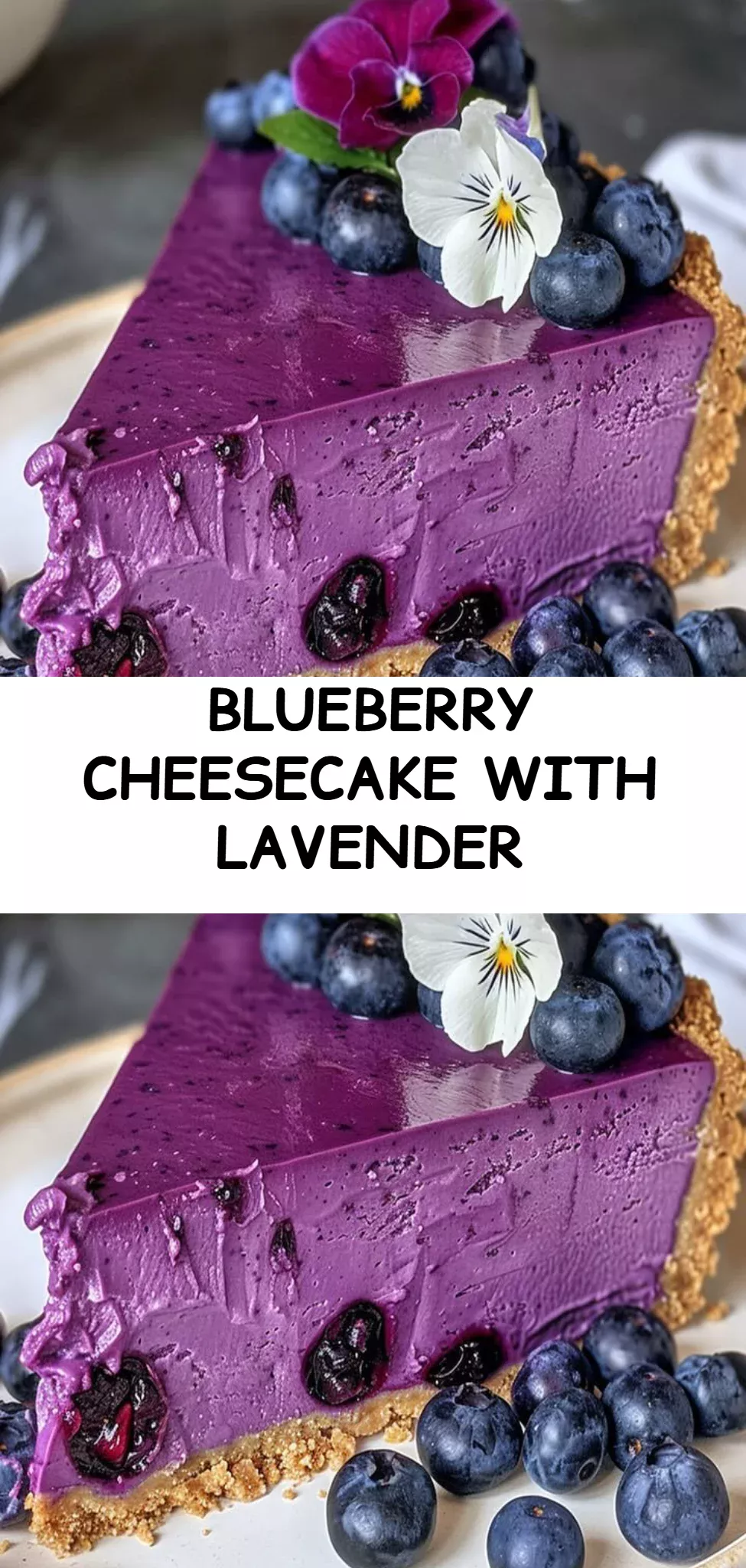Blueberry Cheesecake with Lavender