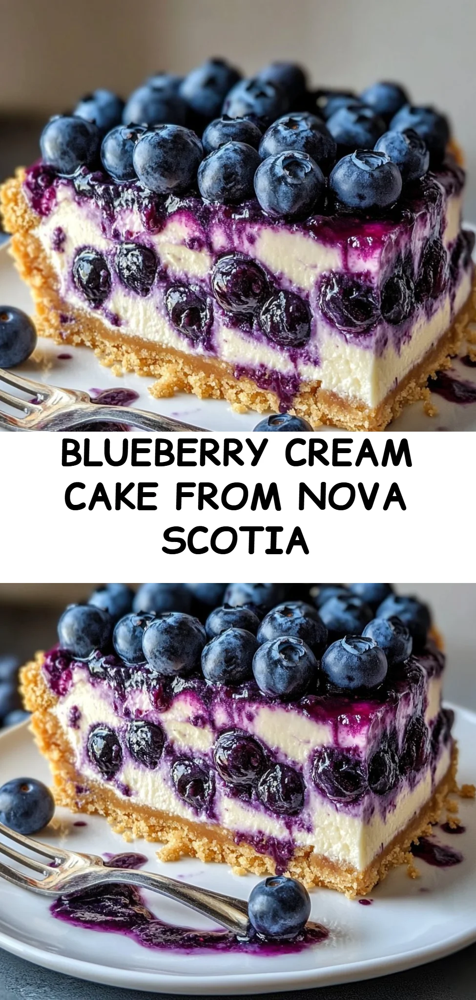 Blueberry Cream Cake from Nova Scotia