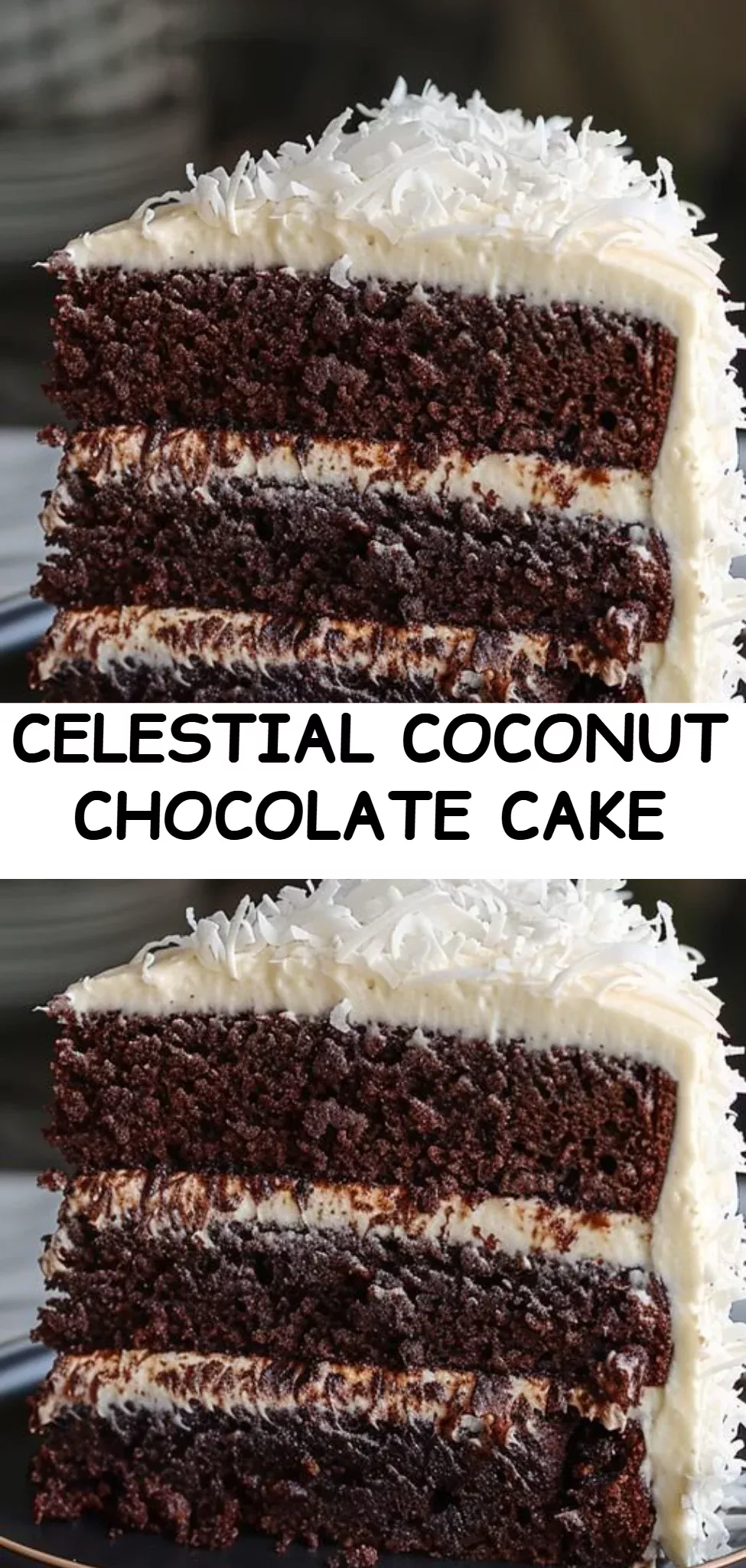 Celestial Coconut Chocolate Cake
