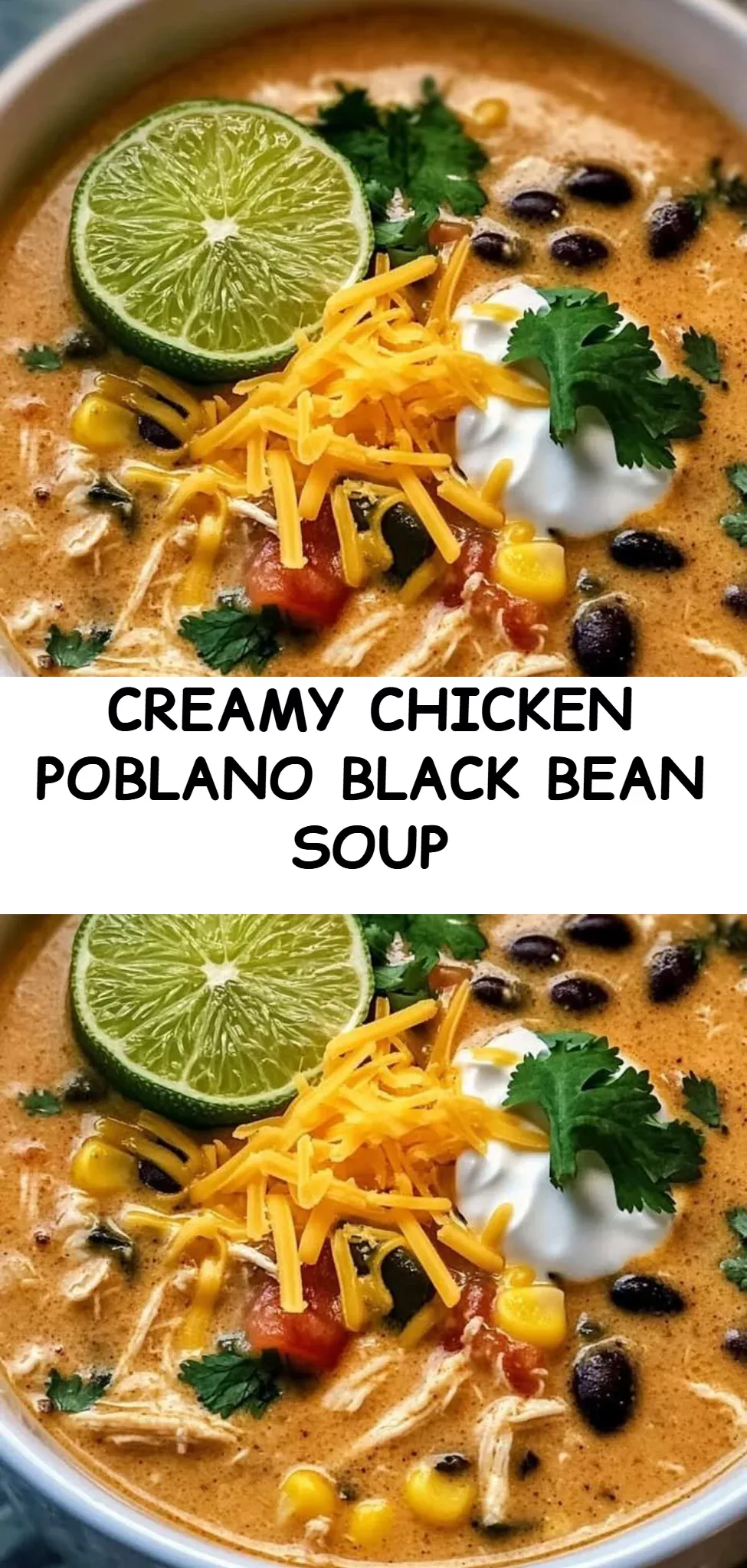 Creamy Chicken Poblano Black Bean Soup