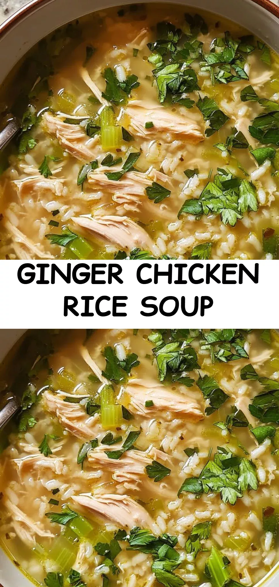 Ginger Chicken Rice Soup